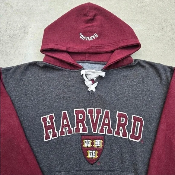 Red and Gray Collegiate Sweatshirt with Hood - Picture 2 of 5
